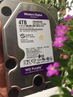 Ổ cứng lắp trong WESTERN Digital 4TB 3.5 Sata3, Màu tím (Purple WD40PURZ)
