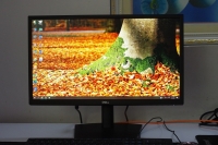Màn hình máy tính Dell Monitor E2222HS 21.45' Wide LED, Full HD 1920 x 1080, VGA, DisplayPort 1.2, HDMI 1.4  (1x Power cable , HDMI Cable )