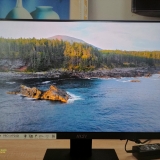 Màn hình LCD MSI PRO MP241X (VA /75Hz / Full viền )