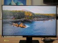 Màn hình LCD MSI PRO MP241X (VA /75Hz / Full viền )